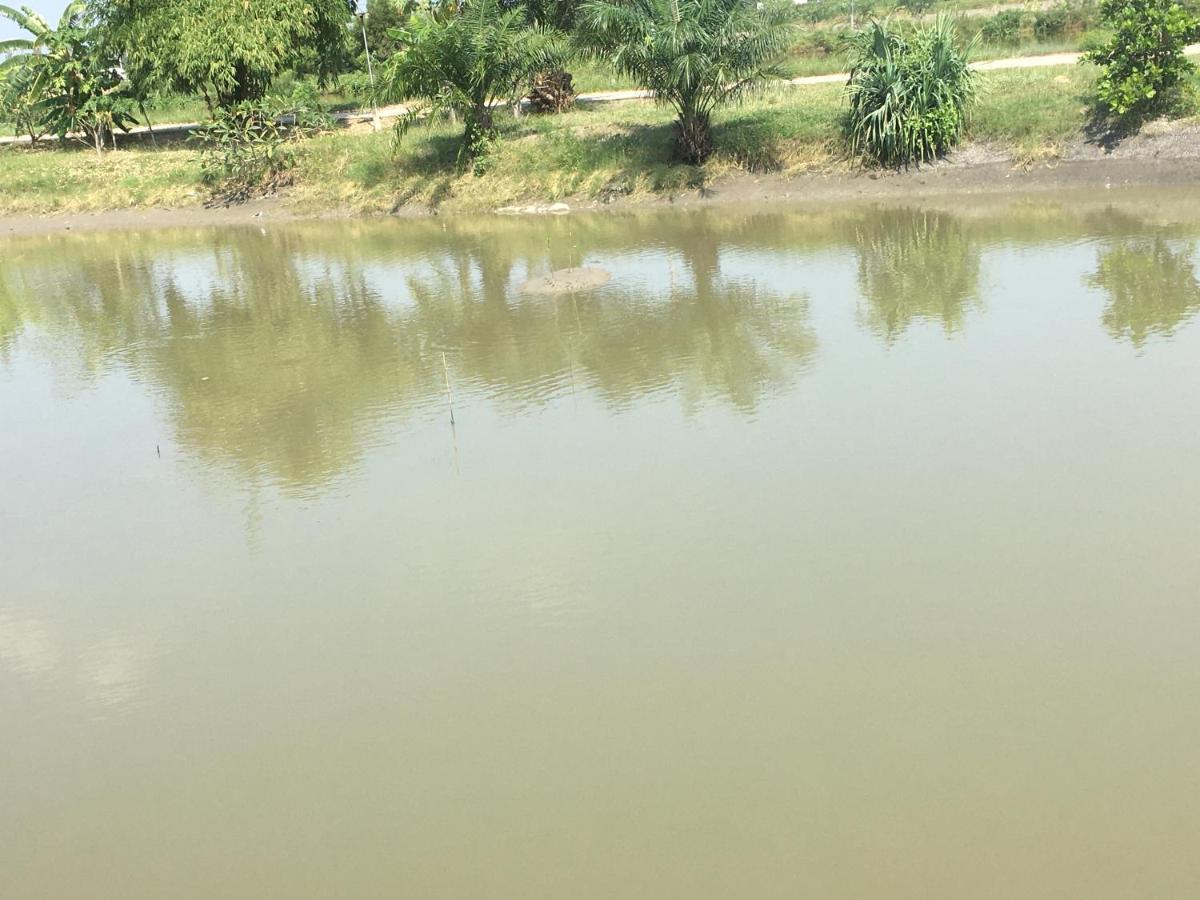 Samut Songkhram Saeng Tai Amphawa 아파트 외부 사진